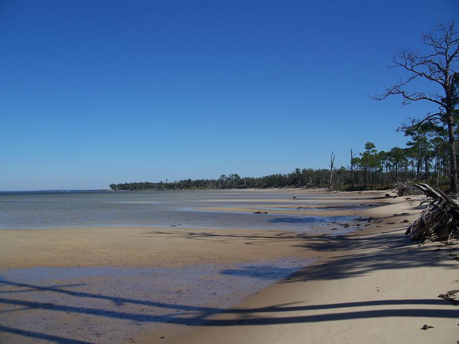 Sandy shoreline with pine trees and calm shallow water at Naval Live Oaks near Gulf Breeze