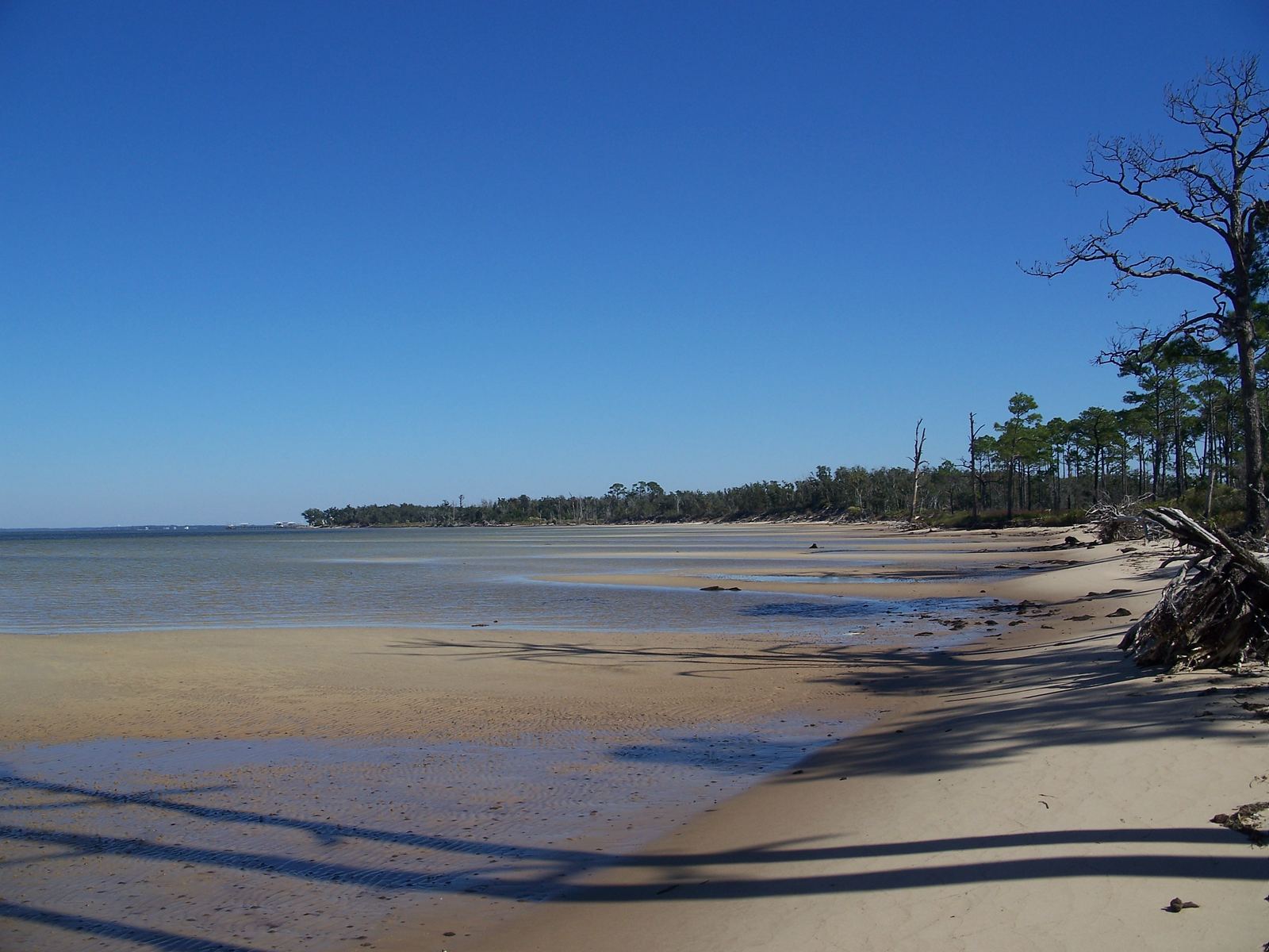 Sandy shoreline with pine trees and calm shallow water at Naval Live Oaks near Gulf Breeze