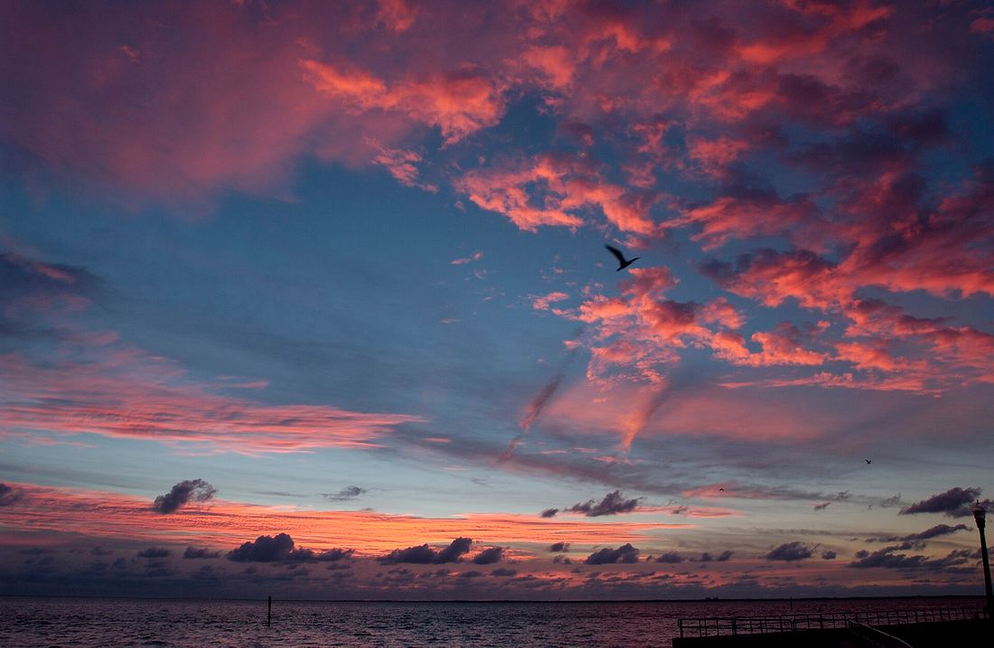 Pink and violet sunrise sky over the calm water of Pensacola Bay